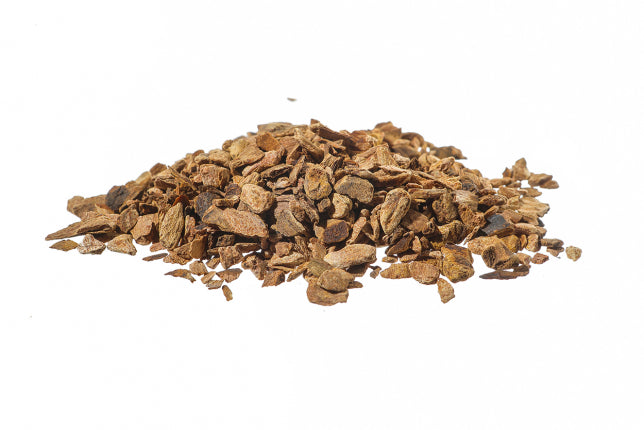 Rabarbaro – Radice Officinale (Rheum palmatum)