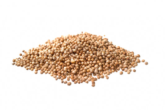 Coriandolo – Semi Officinali (Coriandrum sativum)