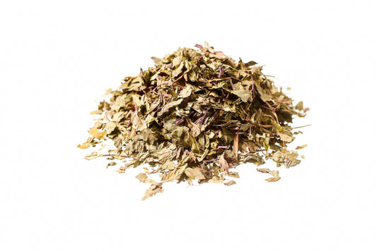 Menta Piperita – Foglie Officinali (Mentha piperita)