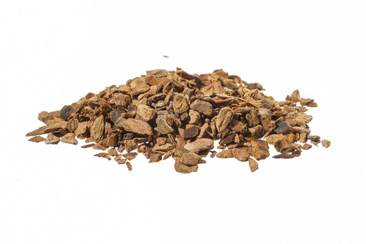 Rabarbaro – Radice Officinale (Rheum palmatum)