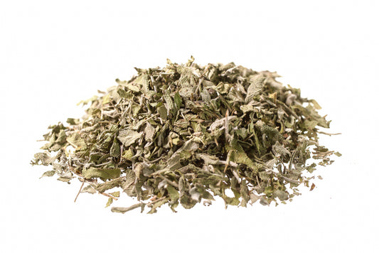 Salvia – Foglie Officinali (Salvia officinalis)